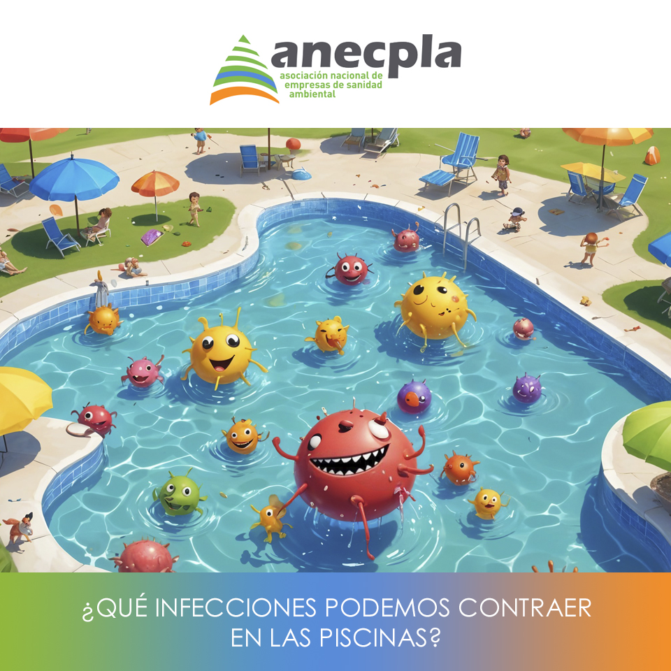 logo Anecpla
