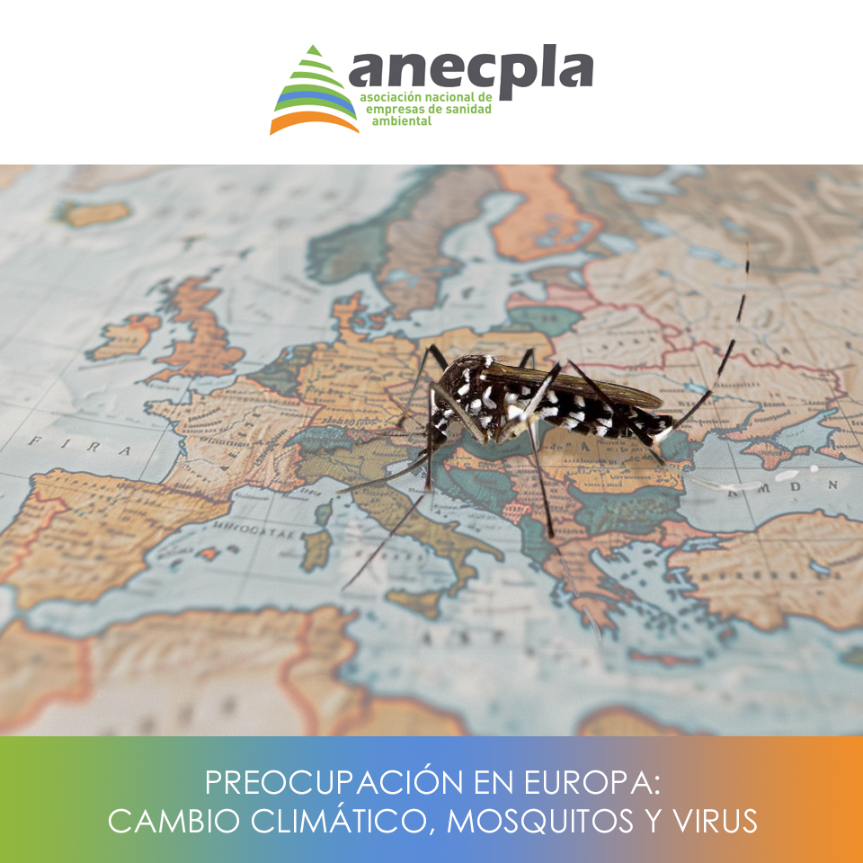 logo Anecpla