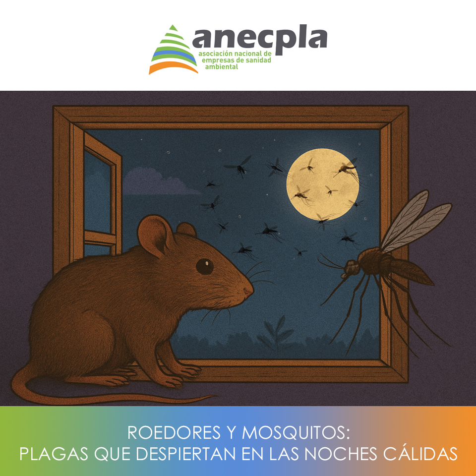 logo Anecpla